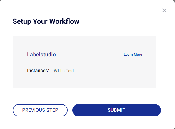 Label Studio setup screen